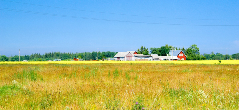 A farm on a sunny day with a field in the foreground